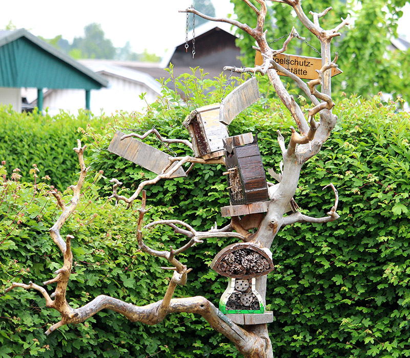 Gartenverein Impression