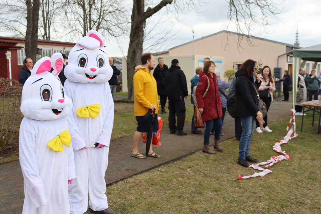 Osterhasen schauen zufrieden
