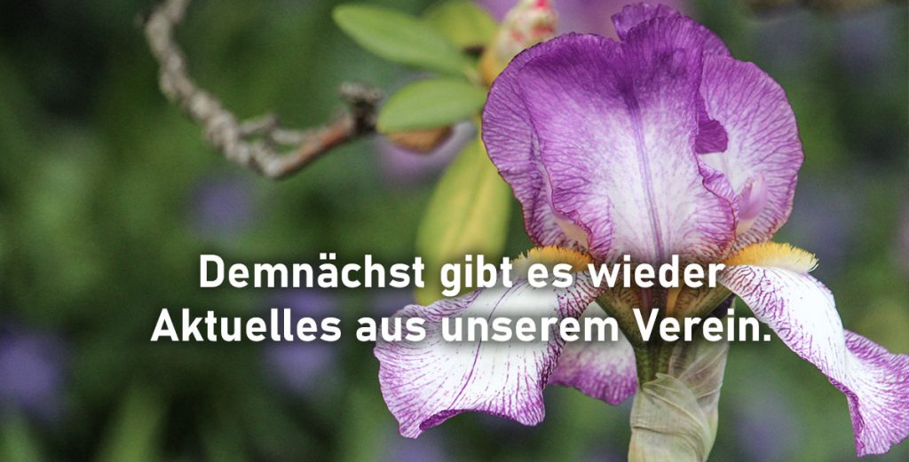 Hinweis auf kommende Neuigkeiten - Sommermotiv